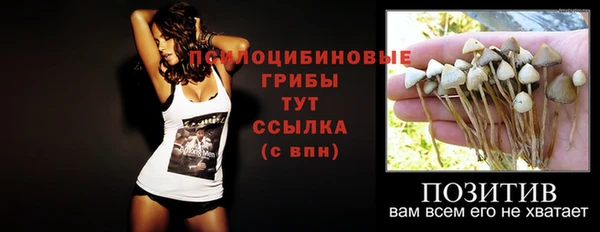spice Нягань