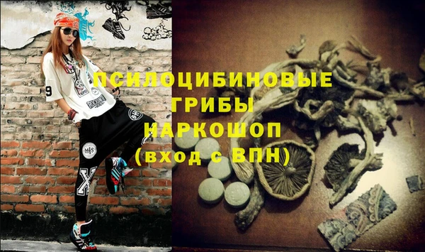 мдпв Нязепетровск