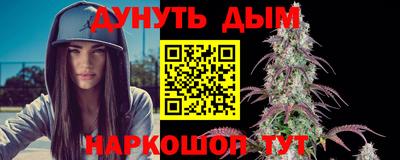 гидра Гатчина