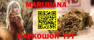 сатива Камышлов