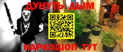 гидра Гатчина