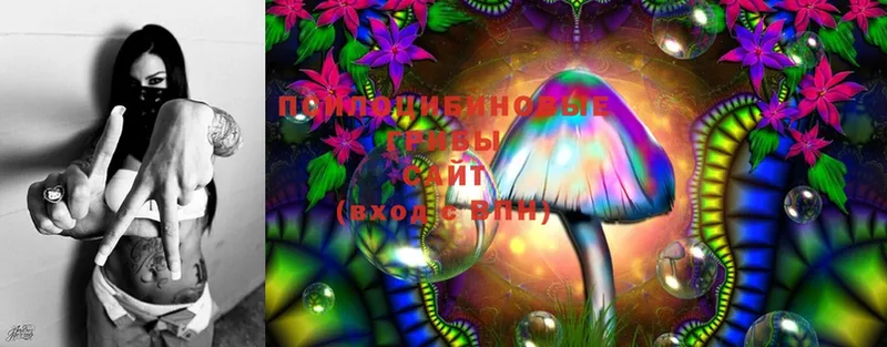 сайты даркнета состав  Корсаков  Псилоцибиновые грибы MAGIC MUSHROOMS 