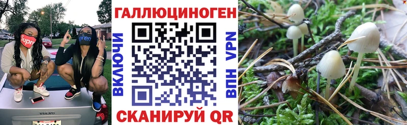 Галлюциногенные грибы Psilocybine cubensis  Корсаков 