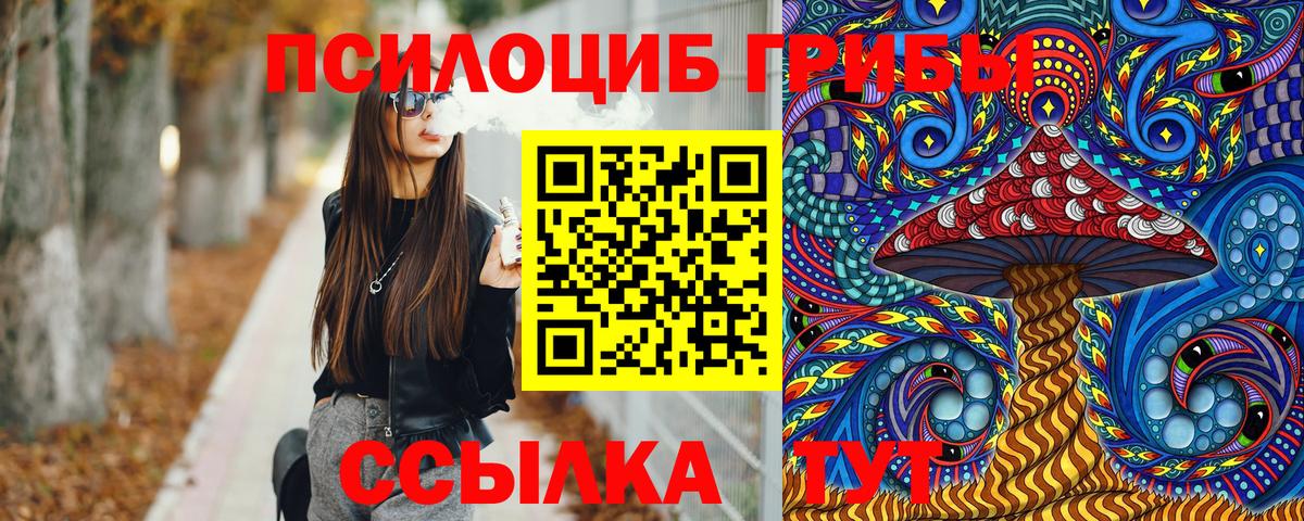 Корсаков  Псилоцибиновые грибы Psilocybine cubensis  Псилоцибиновые грибы прущие грибы  Вход с VPN 