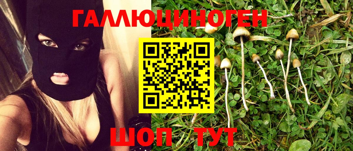 Псилоцибиновые грибы Magic Shrooms Корсаков